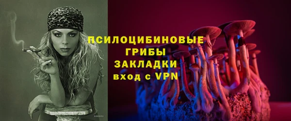 индика Балахна