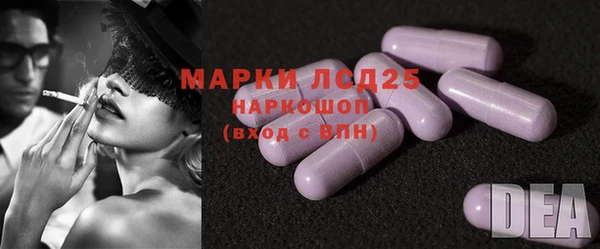 индика Балахна