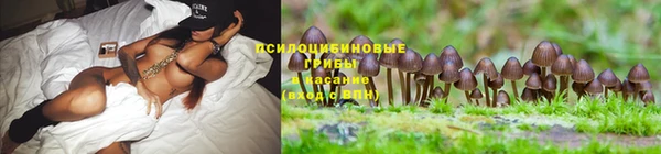индика Балахна