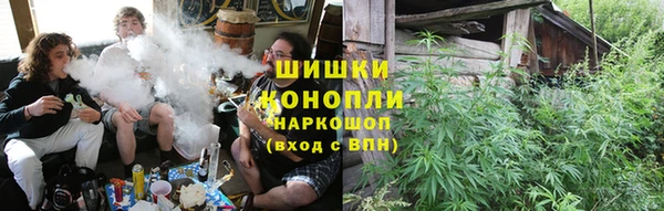 PSILOCYBIN Баксан
