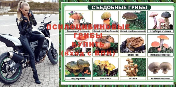 индика Балахна