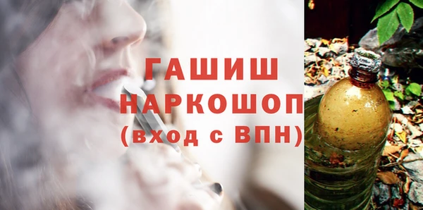 индика Балахна
