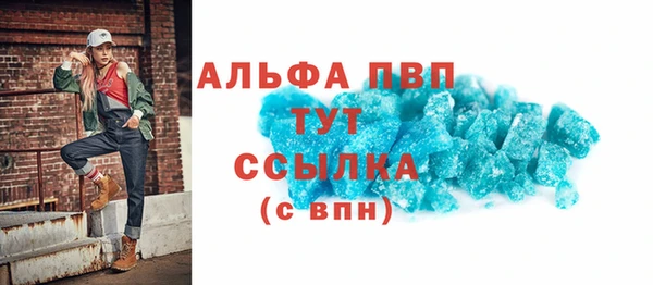 индика Балахна