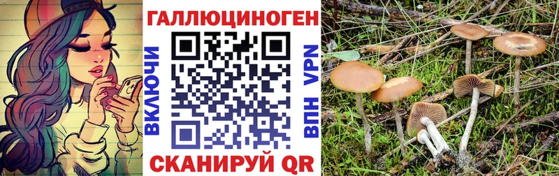 как найти сайты даркнета Telegram Псилоцибиновые грибы MAGIC MUSHROOMS Уяр